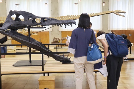 学園内にある恐竜・化石ギャラリーを見学する「じゅらしっくぱーく in  Seijo 」