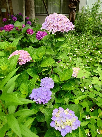 さまざまな色合いを見せる