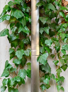 ⑭ハァハァ言いながら…？ダッシュで向かいながら？横通ってる