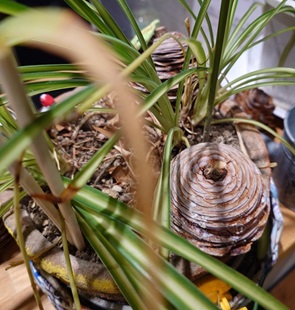 ⑰外じゃないんだよな～　これが