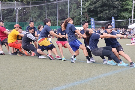 綱引きには教職員も参戦