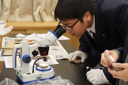 顕微鏡で木の葉化石の葉脈などを観察しました