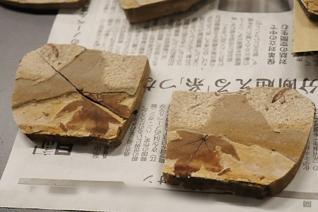 きれいにコピーされた化石