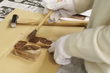 化石の周りの不要な土をブラシで取り除きます