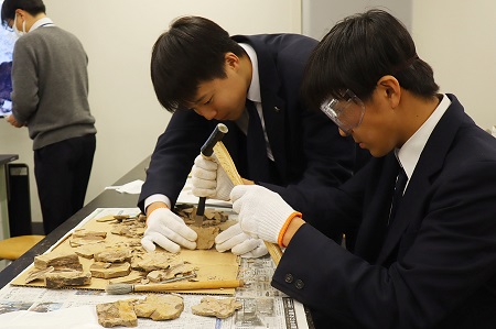 友達と協力しながら化石探し