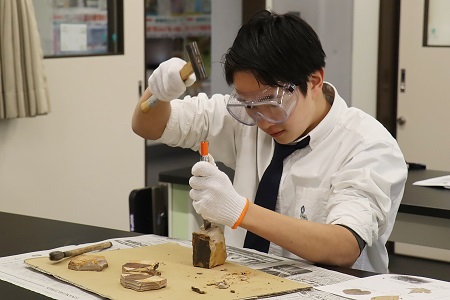 平タガネとハンマーを使い、化石のありそうな層で割ります