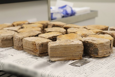 30万年前の岩石ブロックから化石を発掘します