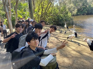 カランビン野生動物特別保護区にて（ペリカンとウナギの餌付け）