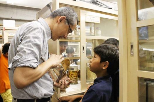 貴重な標本の宝庫「標本室」の見学。「こんなの初めて見た！」「博物館みたい！」と大興奮。「サメはどこですか？」「クモは？」とあれもこれも見てみたいものばかり。