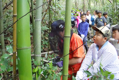 自然を満喫！—新・自然体験の旅を行いました—