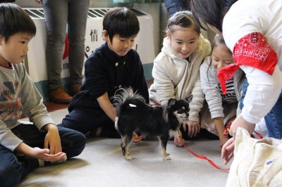 かわいい～優しい気持ちで犬と触れ合いました