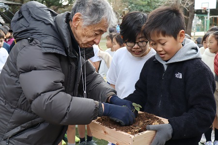 丁寧に植えていきます