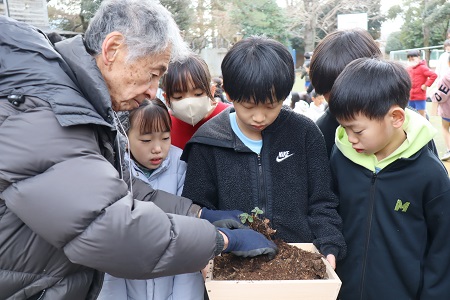 苗を1つずつプランターへ