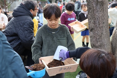 プランターに土を入れたら…