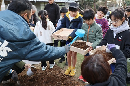 栽培に使用するのは腐葉土とヤシガラの混ざった栄養満点の土