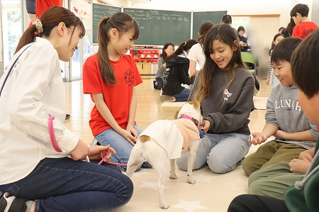 犬たちと初めましてのごあいさつ