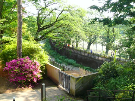 正門から学園大グラウンドを見下ろして