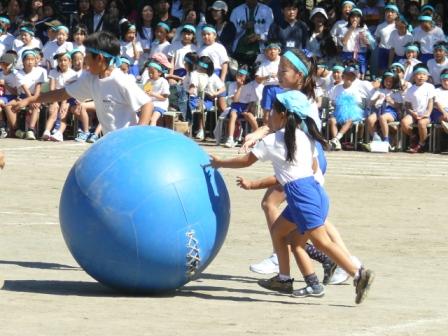秋の運動会