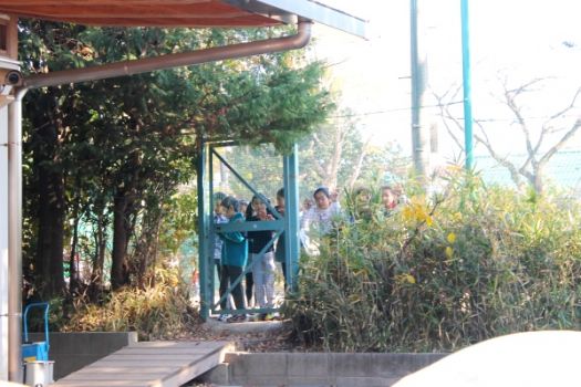 いいなー、私たちも食べたいなー。