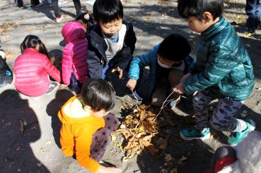 焼き芋ができるまで、焼き芋ごっこ