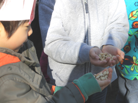 豆をもらって。。。