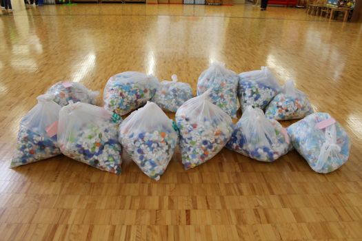 毎日楽しみながら集めたペットボトルキャップ、こんなにたくさんになりました。