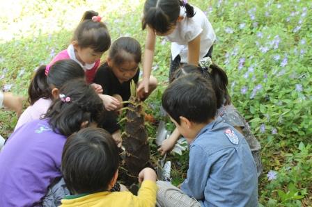 四方八方から掘る、掘る、掘る！