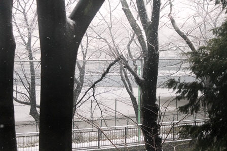 外は一面の銀世界でした