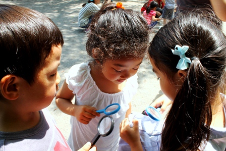 見てみてー！私の服に、てんとう虫の幼虫がくっついてるよー！