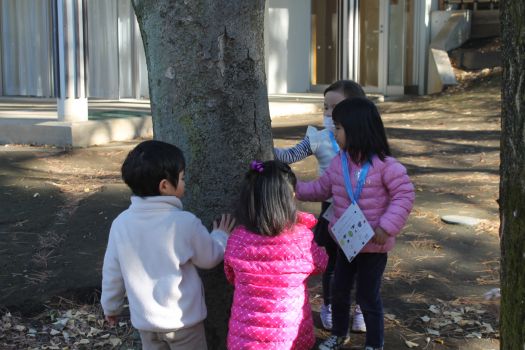 ざらざらしたもの…うーん…あ、木ってざらざらしてるー！！