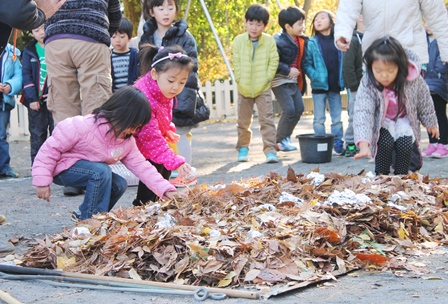 落ち葉のお布団においもを優しく並べてあげます。
