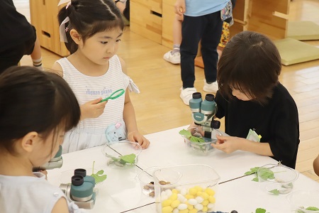 「見えた！」 足や口、目がどうなっているかよく観察しました