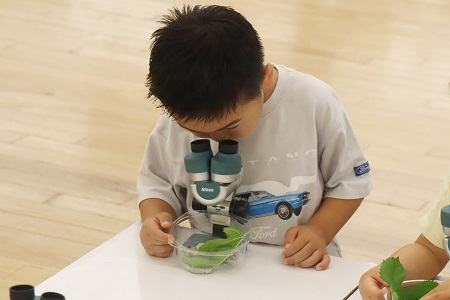 先生にサポートしてもらいながら、顕微鏡も使ってみました