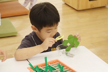 虫眼鏡を使って観察していきます