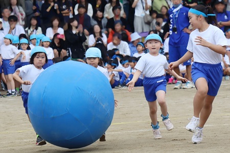 幼稚園児を6年生がサポートして大玉リレー（年中組～6年生）