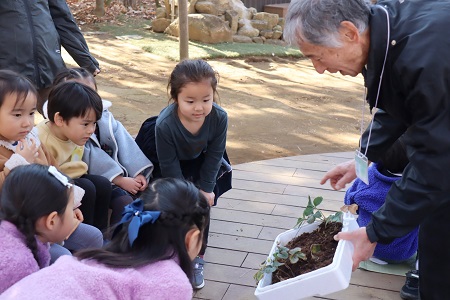この日植える苗をじっくり観察