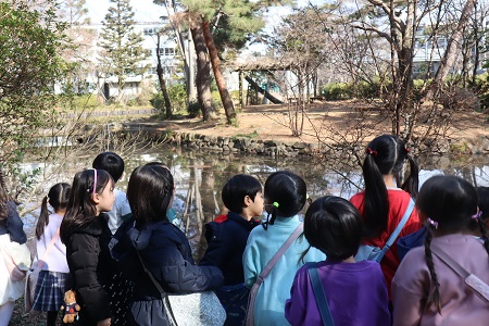 成城池で足を止めて鳥を観察しました