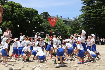 年長組・年中組「玉入れ」